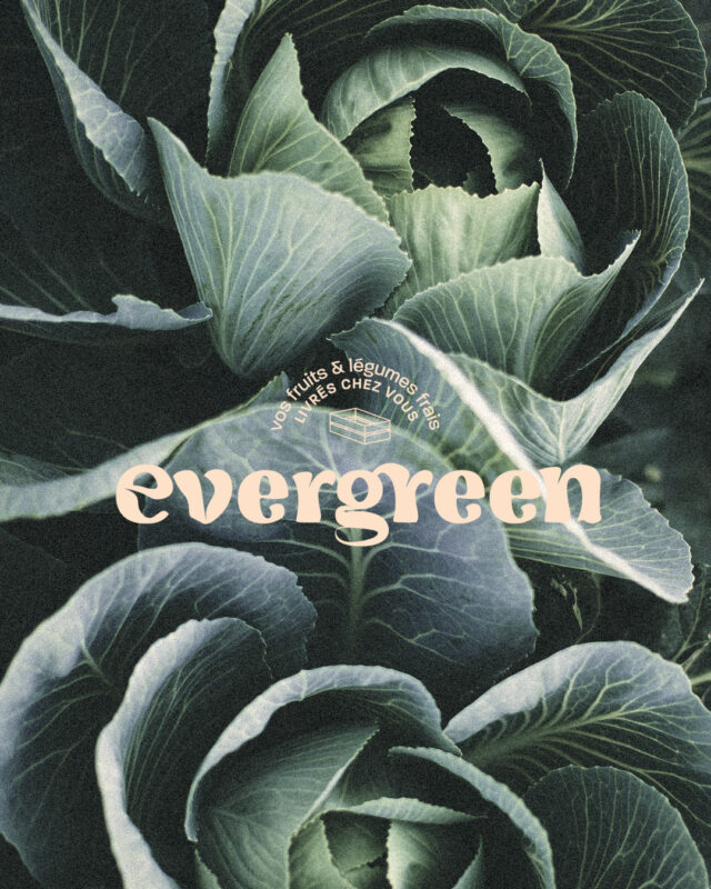 logotype pour producteur de fruits et légumes biologique maraîcher